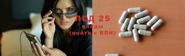 ПСИЛОЦИБИНОВЫЕ ГРИБЫ Инта