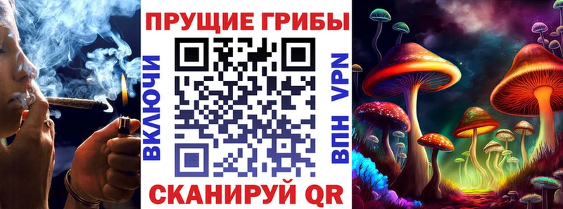 Купить где  Далматово  Псилоцибиновые грибы мухоморы 